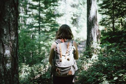tree-nature-forest-outdoor-walking-person-1067051-pxhere.com