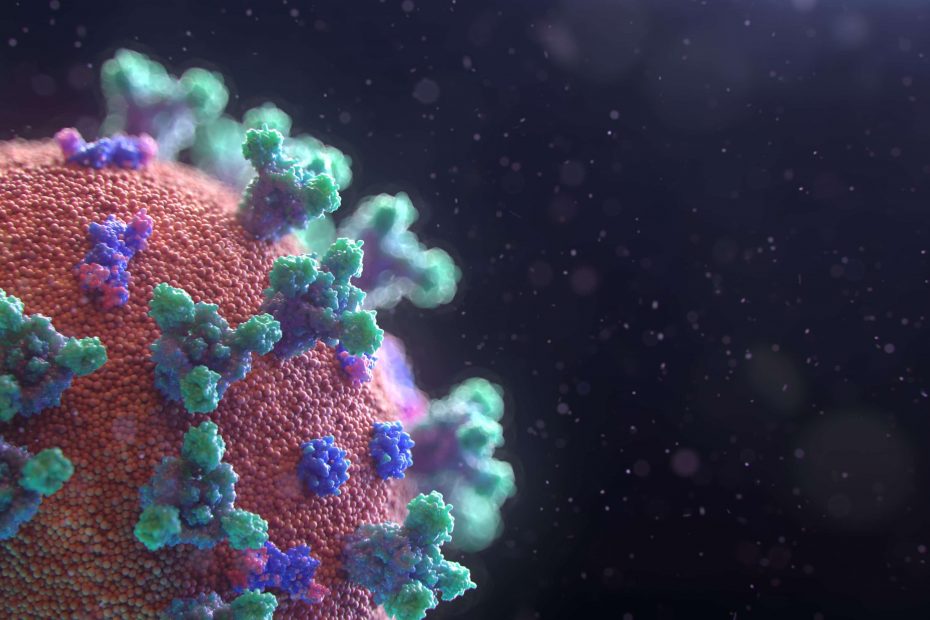 fusion-medical-animation-EAgGqOiDDMg-unsplash koronavírusokról
