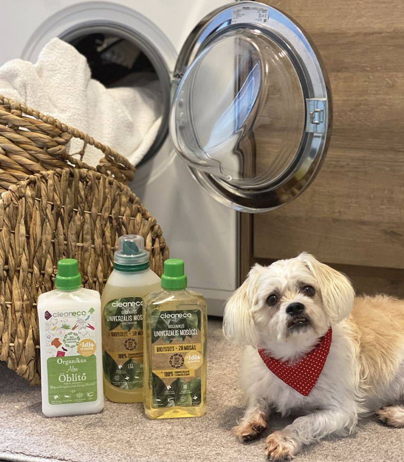 Cleaneco - Zöldítsd ki Te is a háztartásodat!Cleaneco - Zöldítsd ki Te is a háztartásodat!