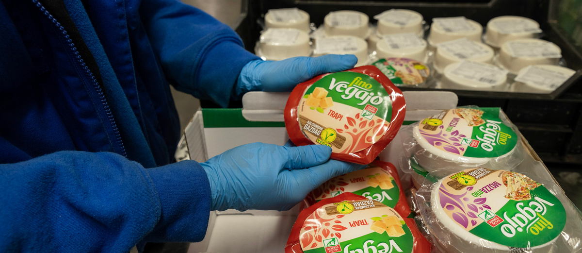 fino Vegajo – Generációkon átívelő gondoskodás fino Vegajo - Generációkon átívelő gondoskodás