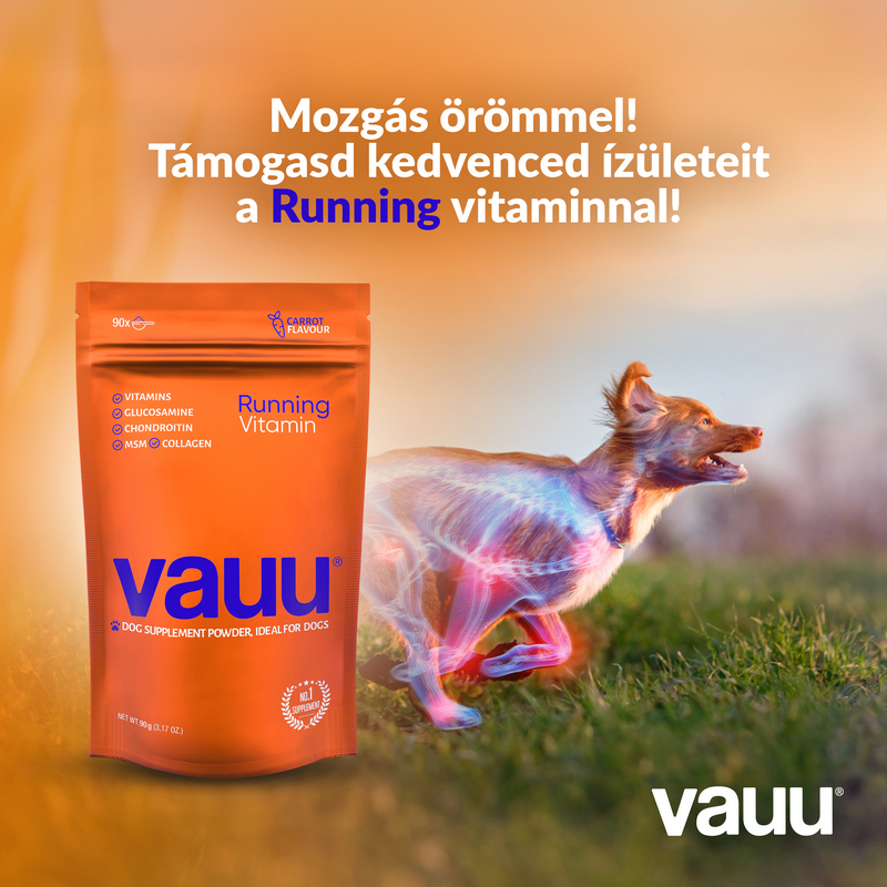 vauu kutyavitaminok - Gondoskodás egy életen át