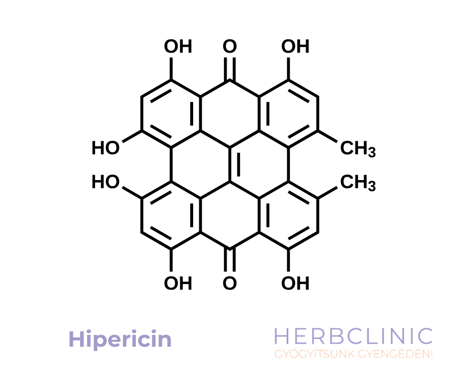 hipericin mint korlátozó tényező